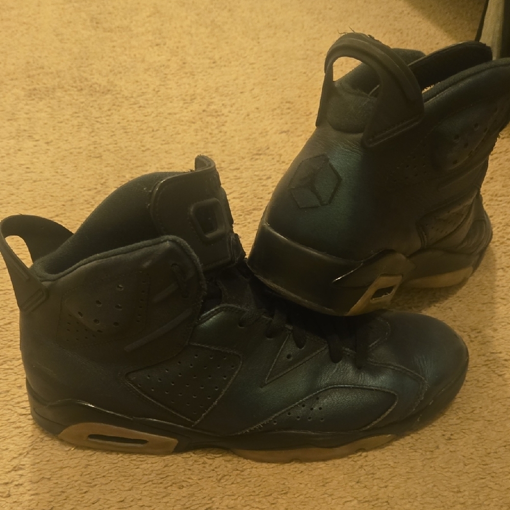 Jordan 6 All-star Chameleon Sz 12